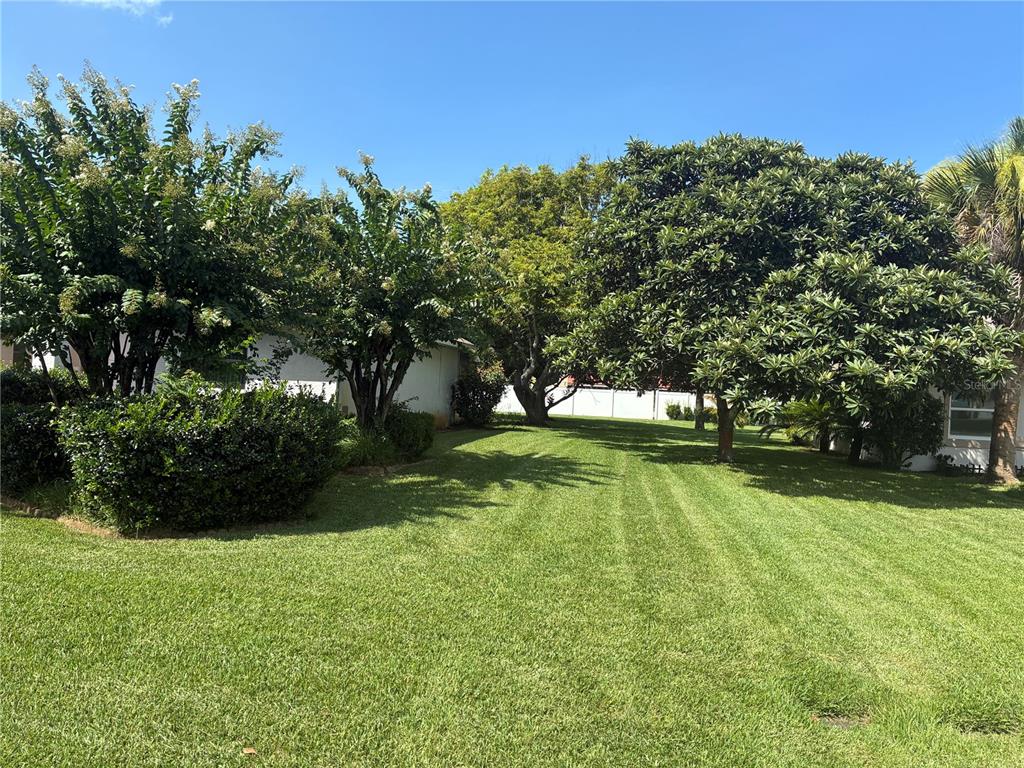 A single-story house with a white exterior, arched entryway, and a large, grassy front yard — 176 BREN MAR LANE, PALM COAST, FL