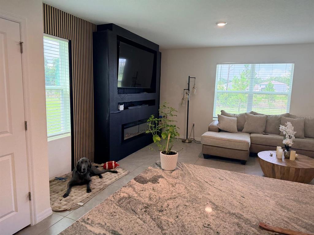 A living room features a black media wall with a fireplace, a sectional, and a dog — 35665 SUNFLOWER HILL DRIVE, ZEPHYRHILLS, FL