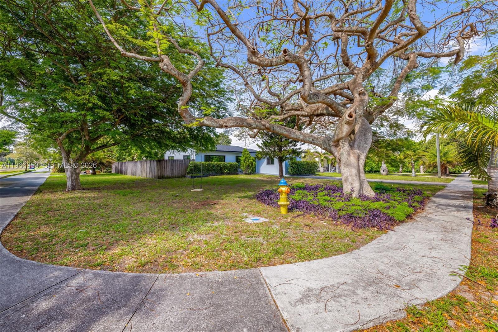 A large tree with a swing stands in a grassy front yard with a fire hydrant — 1998 NE 180th St, North Miami Beach FL 33162, NORTH MIAMI BEACH, FL