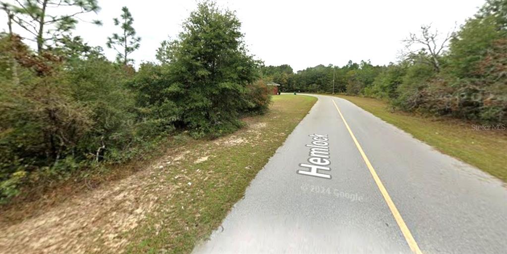 HEMLOCK CIRCLE, CHIPLEY, FL — photo 3 of 5