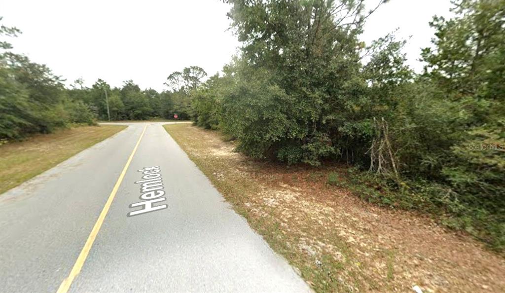 HEMLOCK CIRCLE, CHIPLEY, FL — photo 4 of 5