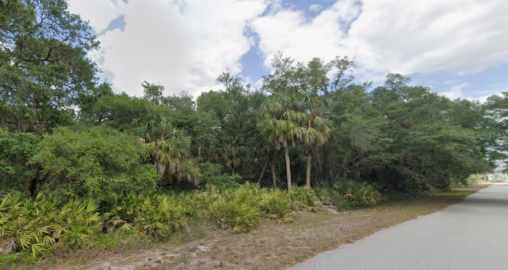 A wooded, undeveloped lot sits adjacent to a paved road under a cloudy sky — 17178 ALVIN (& 17186, 17194, 17202) AVENUE, PORT CHARLOTTE, FL