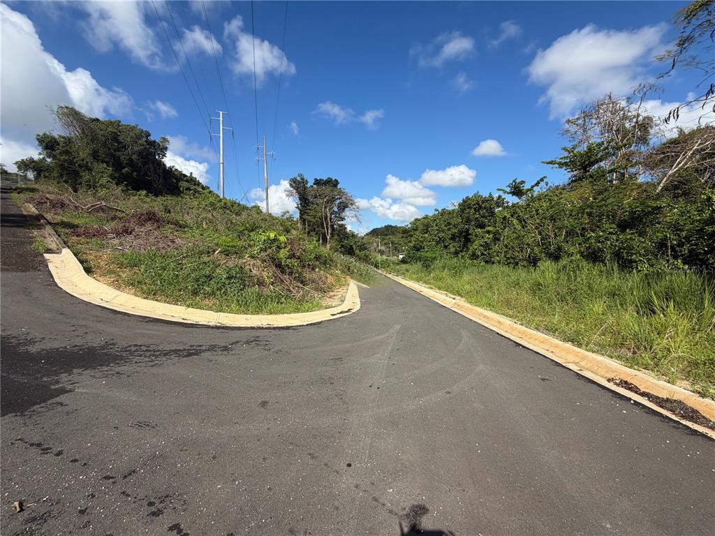 A paved road curves through a grassy, undeveloped hillside area under a blue sky — 1 PR-686 KM 1.2 INTERIOR, MANATI, PR