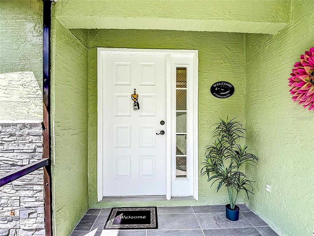 A white front door with a sidelight is set against a light green stucco wall — 11382 PICKFORD STREET, SPRING HILL, FL