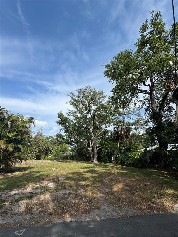 A vacant, grassy lot features several large, mature trees under a blue sky — 117 29TH STREET W, BRADENTON, FL
