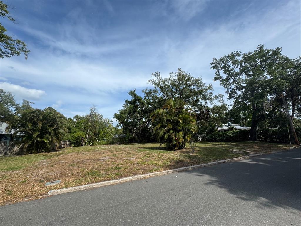 A vacant, grassy residential lot features several mature trees and palm plants under a blue sky — 117 29TH STREET W, BRADENTON, FL
