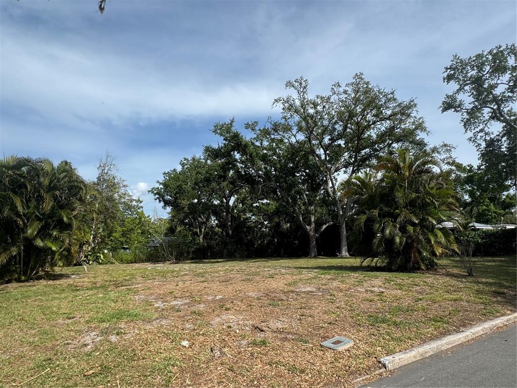 A vacant, grassy residential lot features several large trees and palm trees — 117 29TH STREET W, BRADENTON, FL