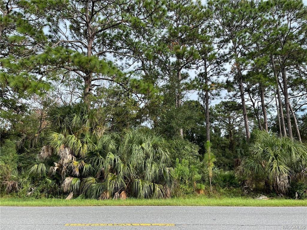 7860 W HOMOSASSA TRAIL