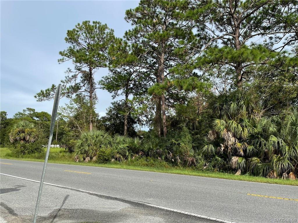 A paved road runs in front of a wooded lot with tall pine trees — 7860 W HOMOSASSA TRAIL, HOMOSASSA, FL