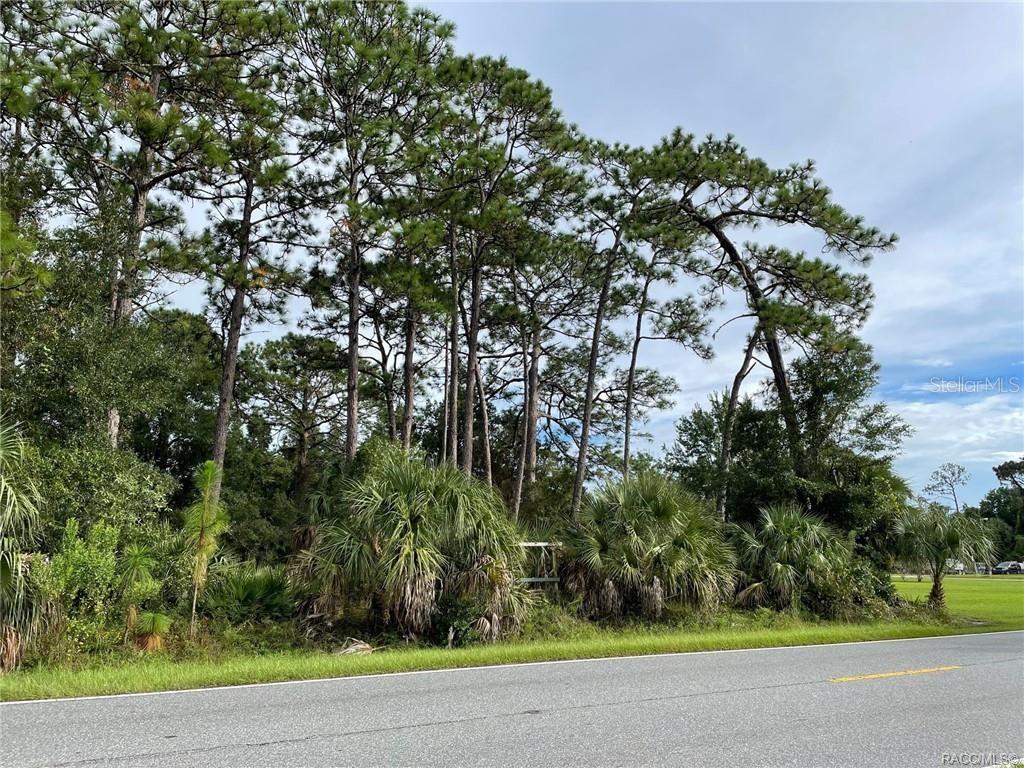 A paved road runs in front of a wooded lot with tall pine trees and palmettos — 7860 W HOMOSASSA TRAIL, HOMOSASSA, FL