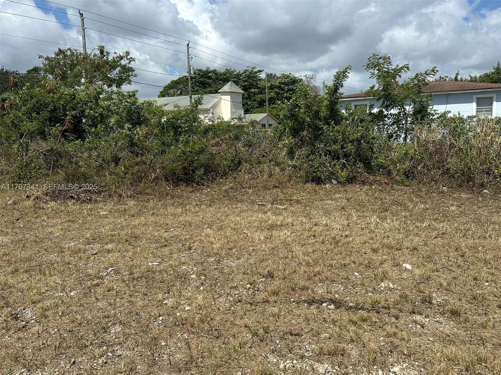 A vacant, grassy lot sits in front of dense vegetation and nearby residential houses — 10025 W Indigo, Miami FL 33157, MIAMI, FL