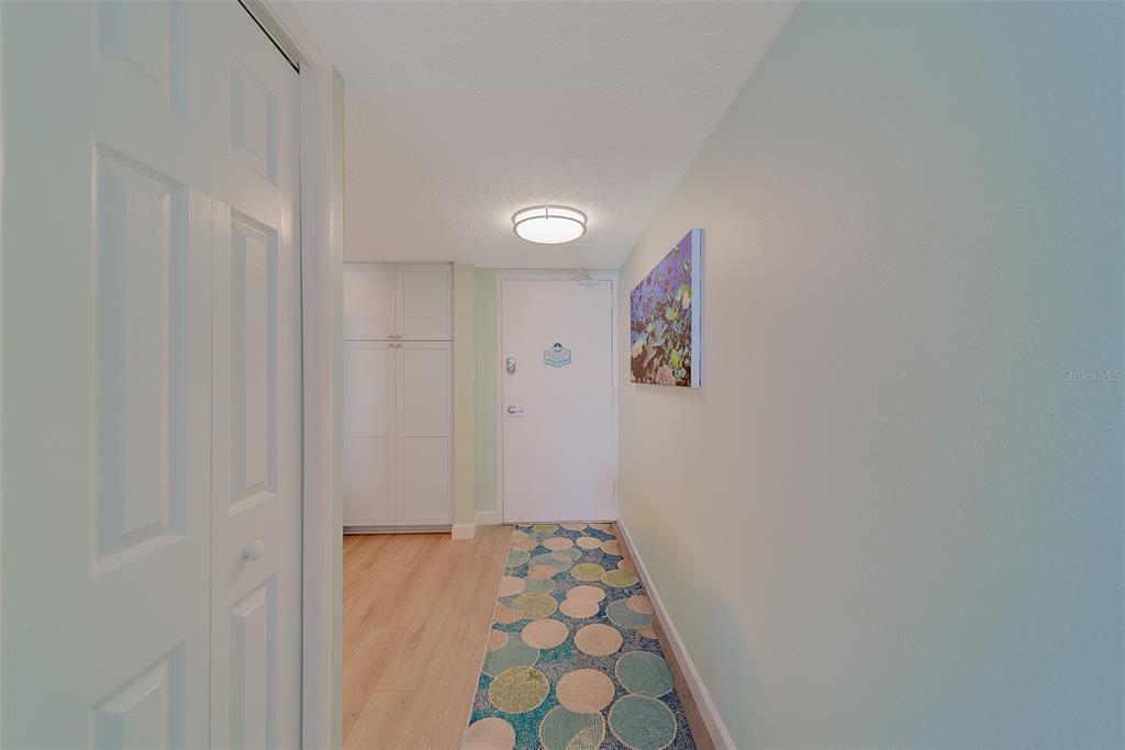 A hallway features light wood flooring, a patterned runner rug, and a white entry door — 17920 GULF BOULEVARD UNIT 1205, REDINGTON SHORES, FL