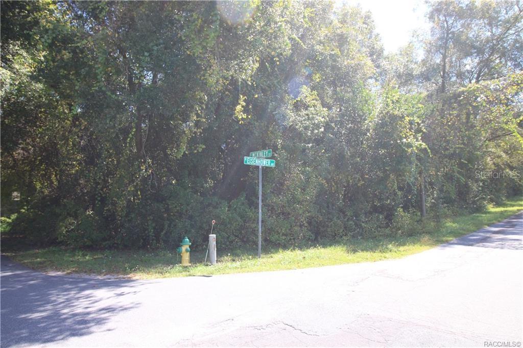 1012 E MCKINLEY STREET, HERNANDO, FL — photo 2 of 7