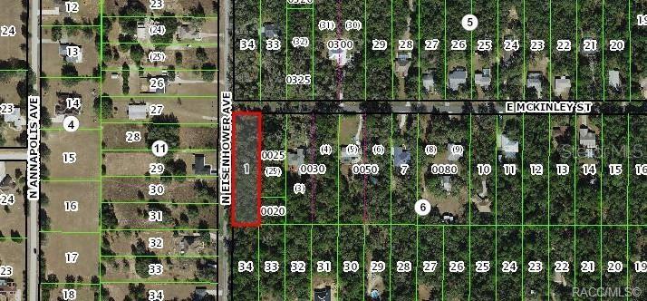 1012 E MCKINLEY STREET, HERNANDO, FL — photo 4 of 7