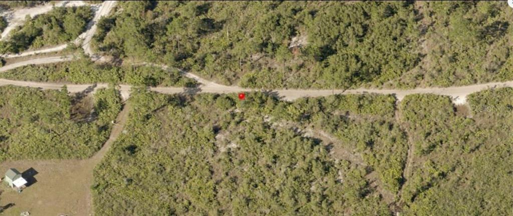 An aerial view shows a dirt road bordering a wooded, undeveloped plot of land — HOLOPAW GROVES ROAD, ST CLOUD, FL