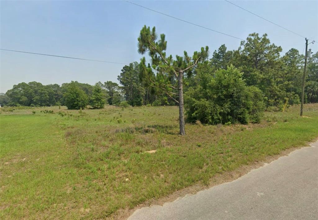 A grassy, partially wooded vacant lot sits adjacent to a paved road — LOT 5 SE MALAUKA RUN, OCKLAWAHA, FL