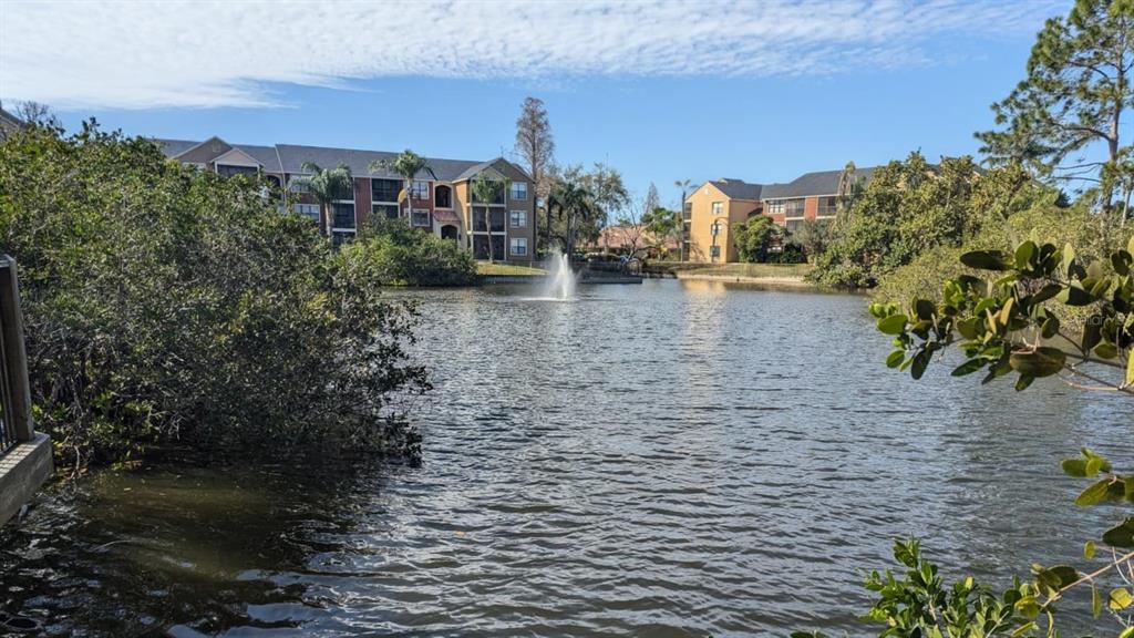 A pond with a fountain sits in front of multi-story apartment buildings and trees — 11901 N 4TH STREET N UNIT 5212, ST PETERSBURG, FL