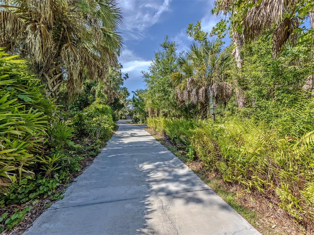 A concrete driveway leads through a lush, tropical landscape with palm trees and dense foliage — 750 SHETLAND CIRCLE, NOKOMIS, FL