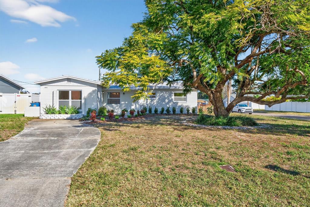 A single-story house with a gray exterior, a concrete driveway, and a large shade tree — 5701 14TH AVENUE N, ST PETERSBURG, FL