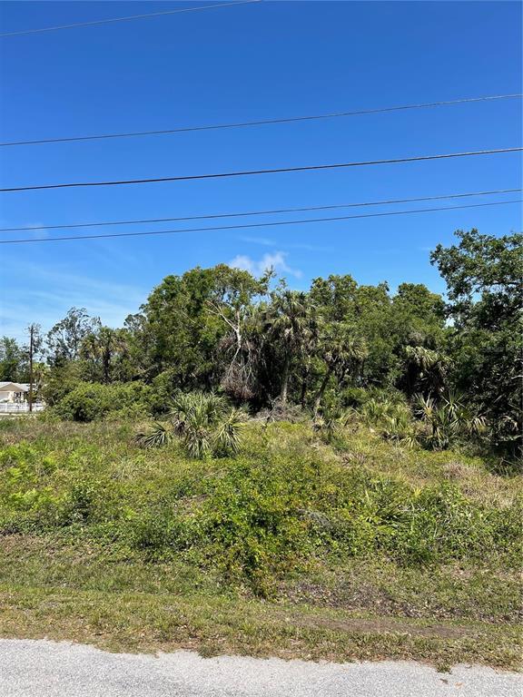 A vacant, overgrown lot with trees and shrubs sits under a clear blue sky — PURDY STREET, ENGLEWOOD, FL