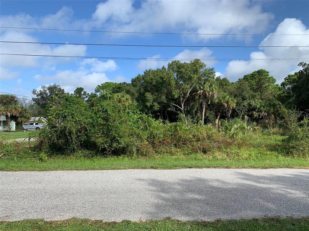 A vacant, overgrown lot sits alongside a paved road under a blue sky — PURDY STREET, ENGLEWOOD, FL