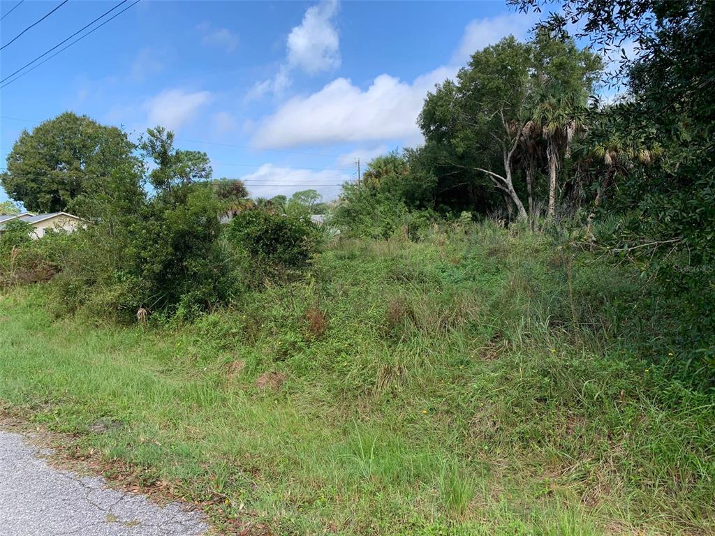 A vacant, overgrown lot with grass, shrubs, and trees under a blue sky — PURDY STREET, ENGLEWOOD, FL