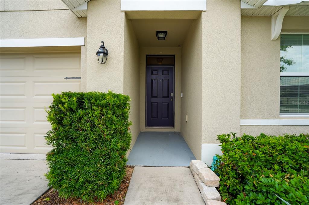 The exterior view shows a tan stucco home entrance with a dark purple front door — 35803 HILLBROOK AVENUE, ZEPHYRHILLS, FL