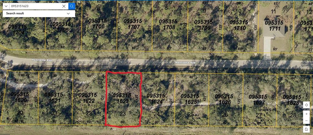 This is a satellite map view showing a highlighted rectangular plot of land — HENRIETTA AVENUE, NORTH PORT, FL