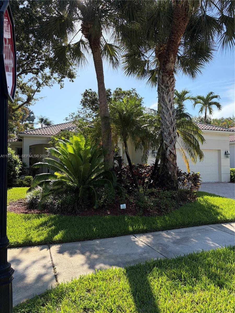 A single-story house with a tiled roof, palm trees, and a landscaped front yard — 2518 Bay Pointe Ct, Weston FL 33327, WESTON, FL