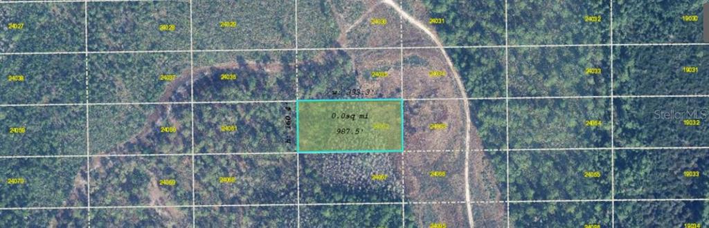 This aerial map shows a rectangular plot of land highlighted in blue over a forest — DILL ROAD, ORLANDO, FL