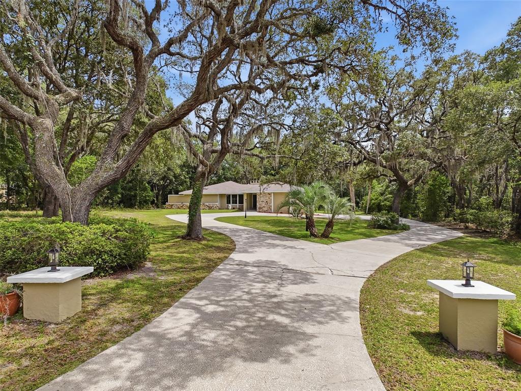 A concrete driveway leads to a single-story house surrounded by large, moss-draped oak trees — 162 W MASSACHUSETTS STREET, HERNANDO, FL