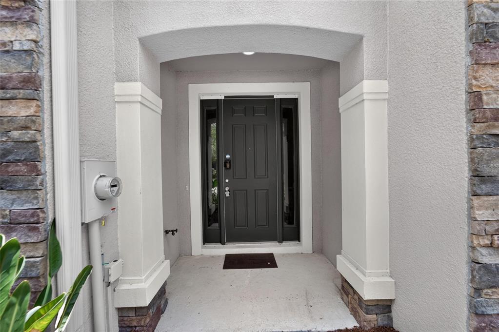 A dark front door with side windows is set within a recessed stone-accented entryway — 10411 RED CARPET COURT, RIVERVIEW, FL