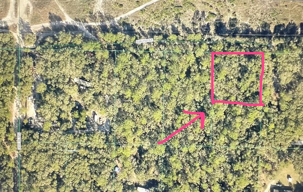 An aerial view of a wooded, undeveloped lot marked with a pink square and arrow — SW 150TH STREET, DUNNELLON, FL