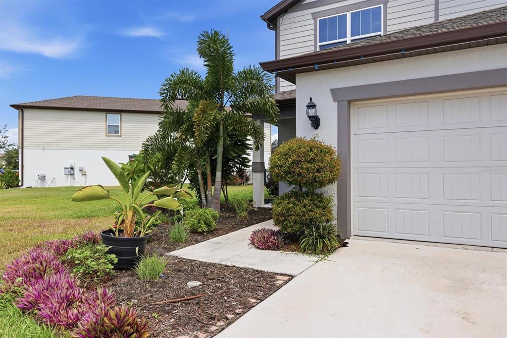 A view of a house exterior featuring a garage, a concrete walkway, and landscaped plants — 9108 ROYAL RIVER CIRCLE, PARRISH, FL