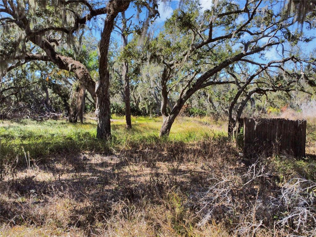 12111 FRED DRIVE, RIVERVIEW, FL — photo 4 of 24