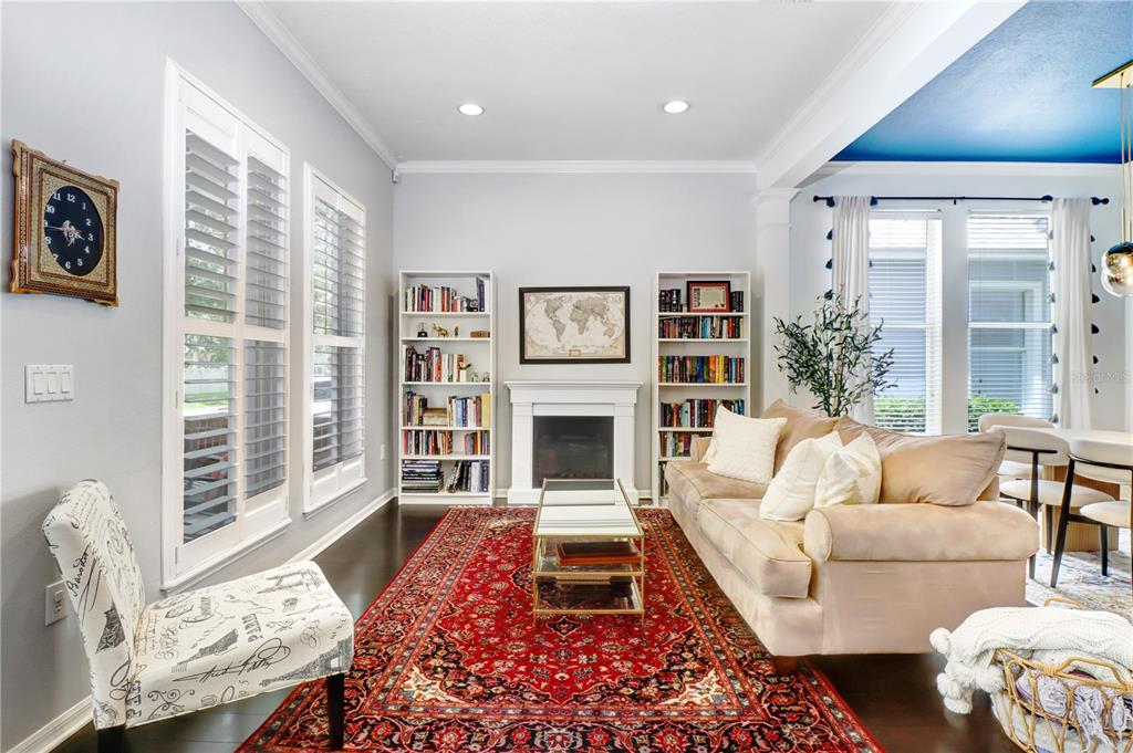 A living room features a fireplace, bookshelves, a red patterned rug, and a beige sofa — 9609 ROYCE DRIVE, TAMPA, FL
