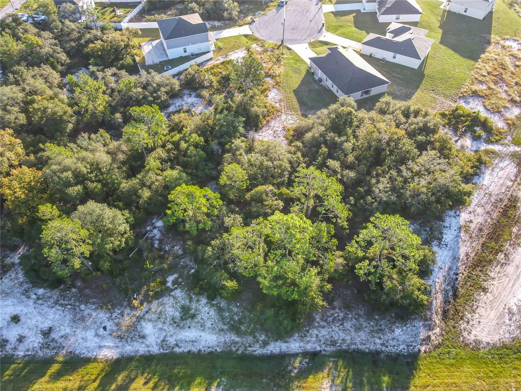 An aerial view shows a wooded residential lot adjacent to suburban houses and a road — 1257 AMAZON LANE, POINCIANA, FL