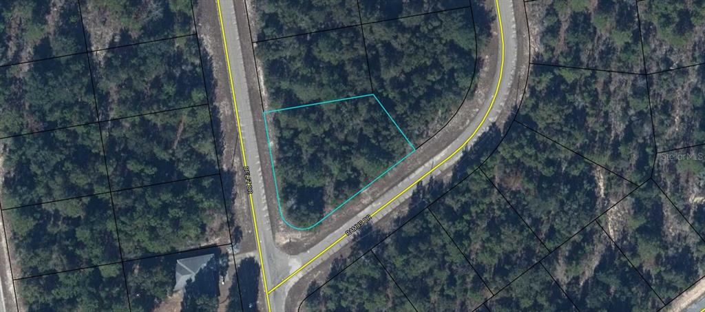 This is an aerial map showing a vacant, wooded corner lot outlined in blue — Lot 7, Unit 2, Blk 213 DELFT DRIVE, CHIPLEY, FL