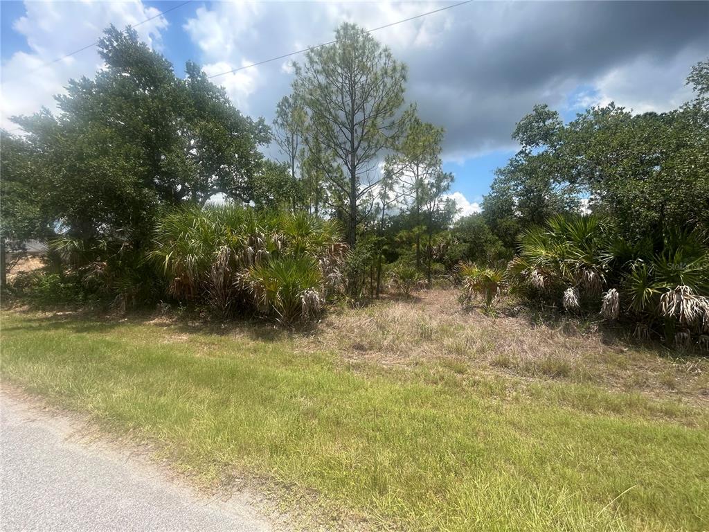 A grassy roadside leads to a wooded lot filled with palm trees and tall pines — 1623 LACE TERRACE, PORT CHARLOTTE, FL