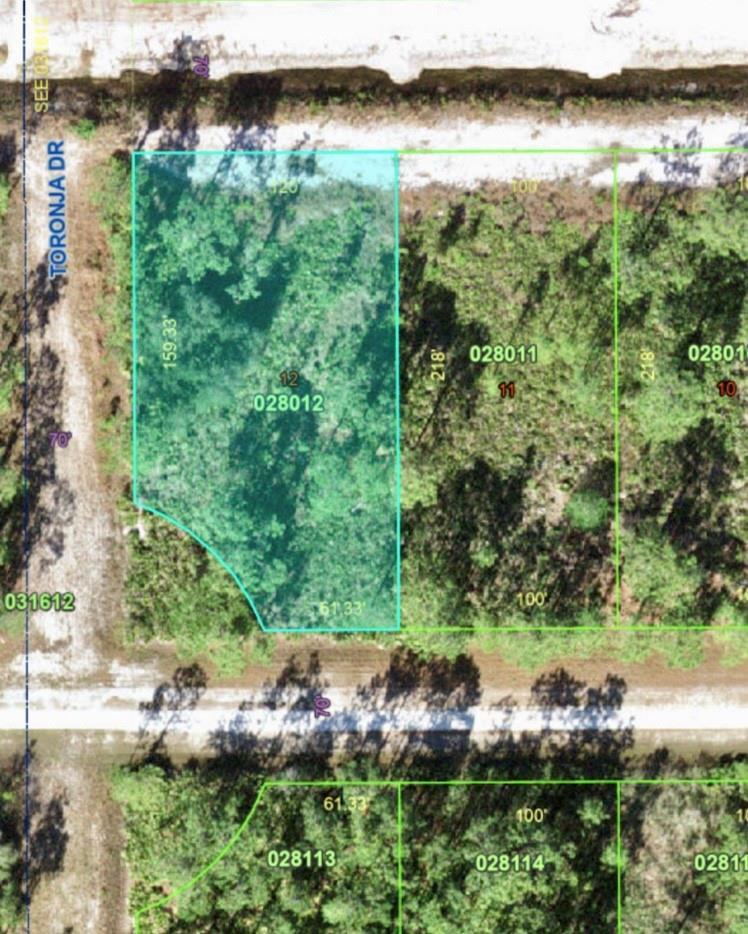 An aerial map shows a highlighted rectangular plot of land with dimensions and property identifiers — 7 Laguna Drive, FL 33855, FL