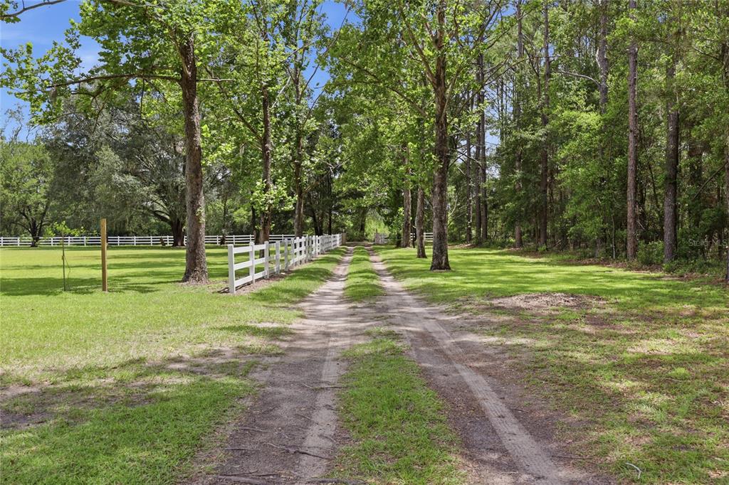 A dirt driveway leads through a grassy field lined with trees and a white fence — 16310 NW 40TH PLACE, NEWBERRY, FL