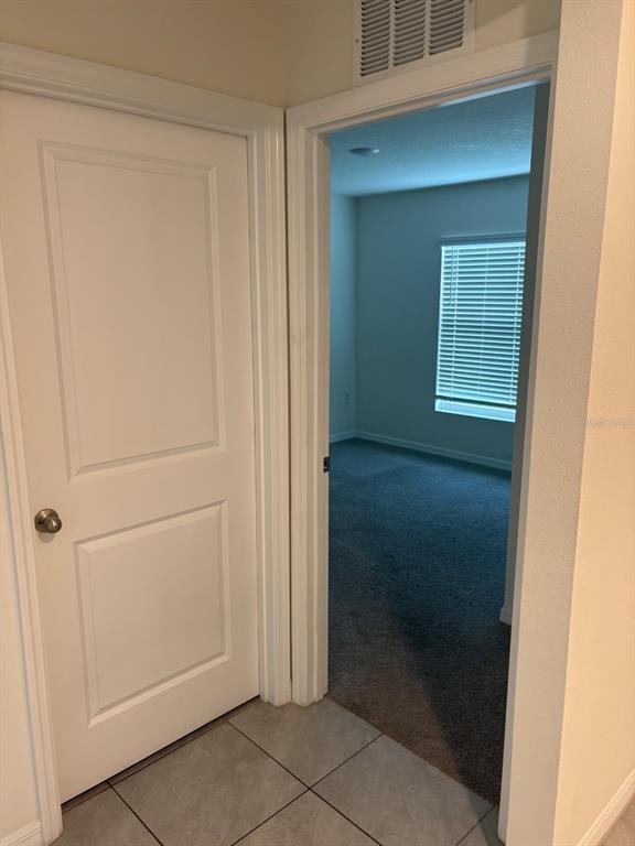 A closed white door stands next to an open doorway leading into a carpeted room — 3933 AUTUMN AMBER DRIVE, SPRING HILL, FL