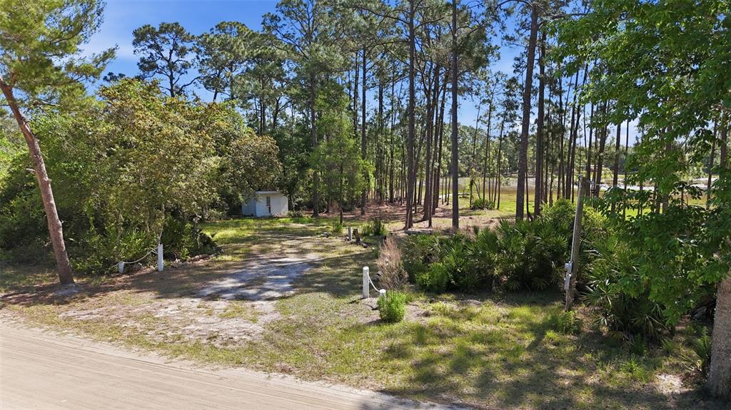 TBD HOLLY BRANCH ROAD, EUSTIS, FL — photo 2 of 13