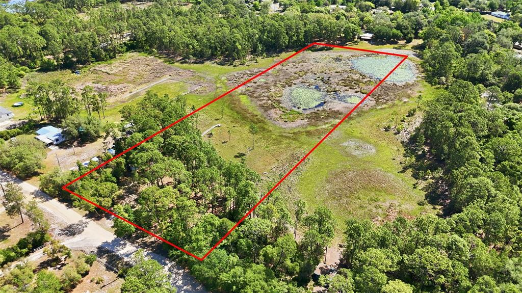 TBD HOLLY BRANCH ROAD, EUSTIS, FL — photo 4 of 13