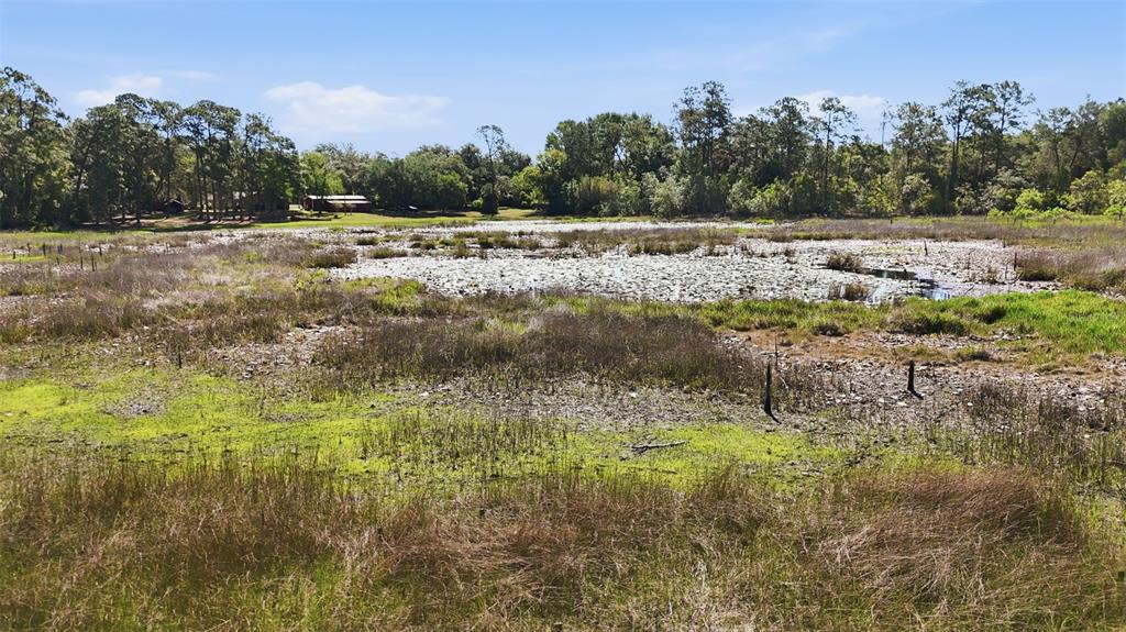 TBD HOLLY BRANCH ROAD, EUSTIS, FL — photo 5 of 13