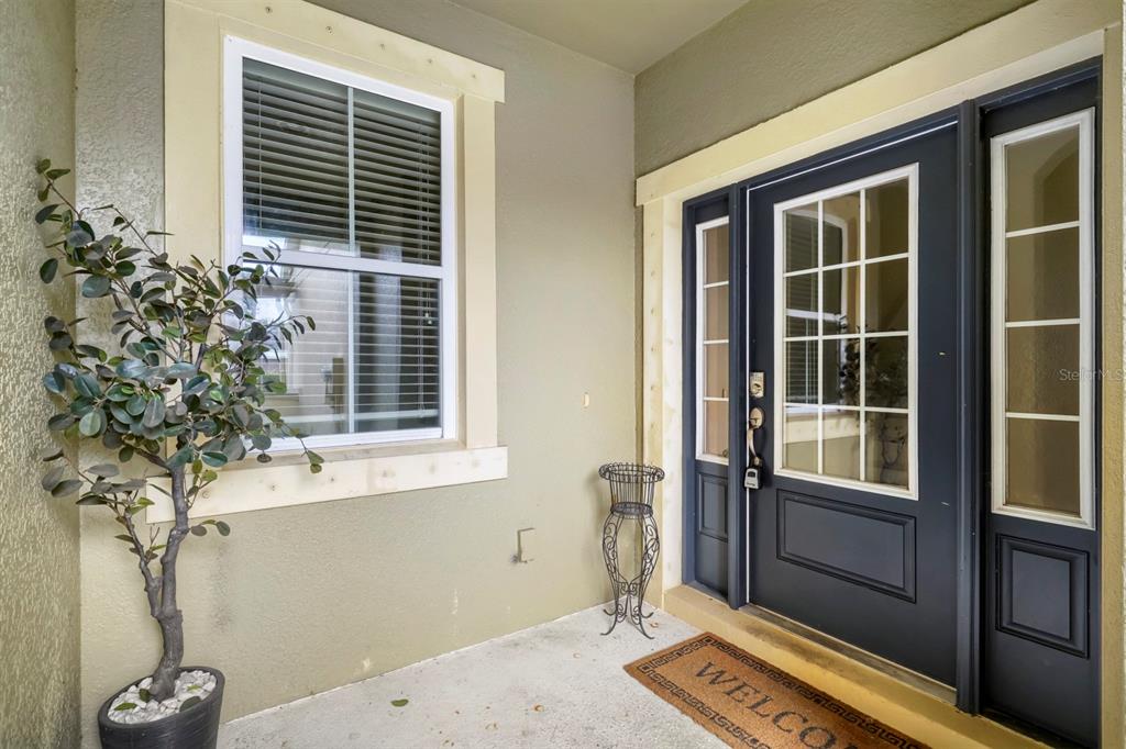 A covered entryway features a dark blue front door with sidelights and a potted plant — 11724 CASA LAGO LANE, TAMPA, FL