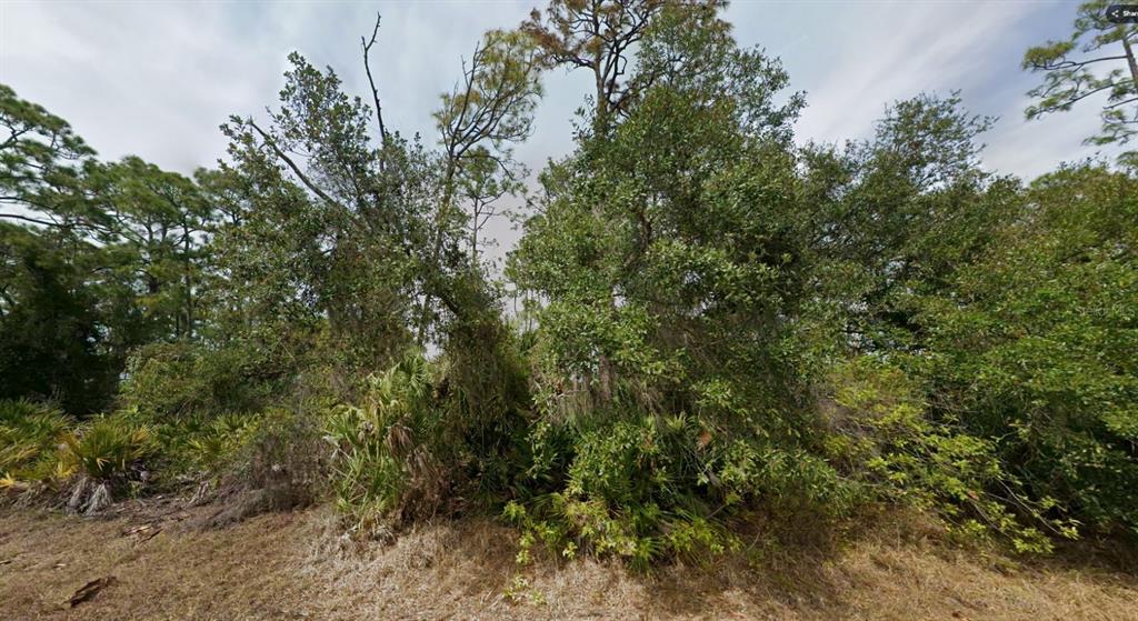 A dense, wooded lot features tall pine trees, oak trees, and low-lying palmetto shrubs — 18334 OXFORD AVENUE, PORT CHARLOTTE, FL