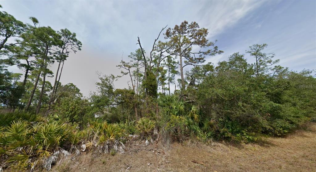 A wooded lot features tall pine trees and dense palmetto bushes under a cloudy sky — 18334 OXFORD AVENUE, PORT CHARLOTTE, FL