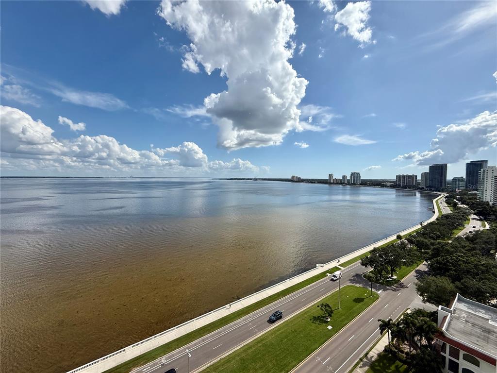 2413 BAYSHORE BOULEVARD UNIT 1805