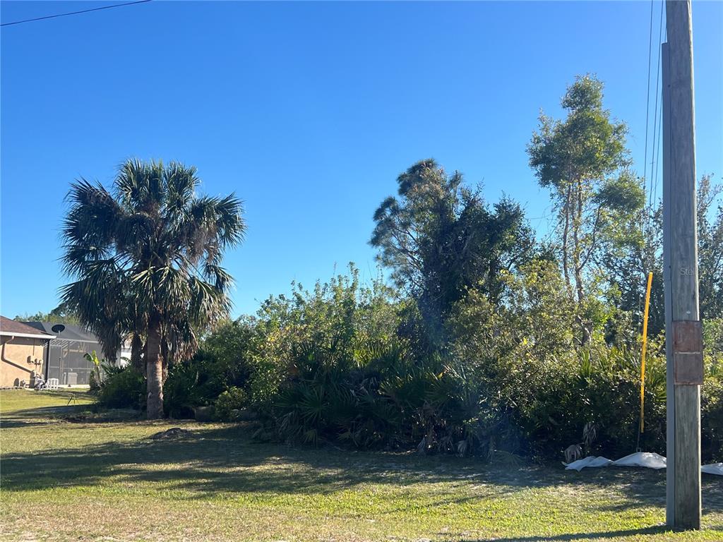 A vacant, grassy residential lot features a large palm tree and dense native vegetation — 14159 ONSLOW LANE, PORT CHARLOTTE, FL